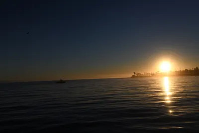 DSC_6698 (Large).JPG